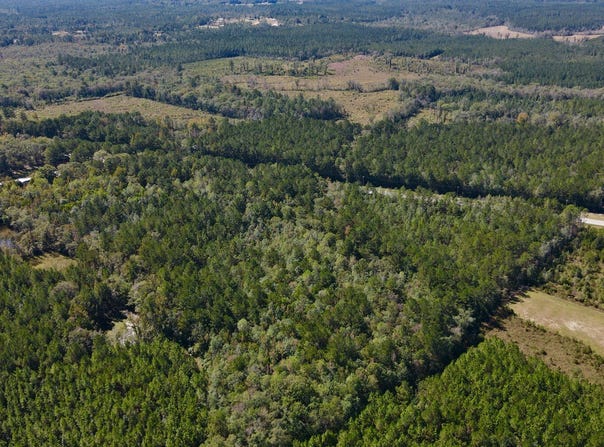 Highway 45 Tract, Fruitdale, AL 36539