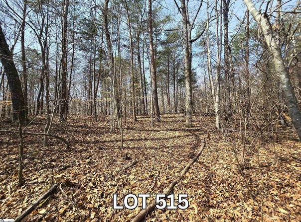 Point Road lot: 515, Westminster, SC 29693