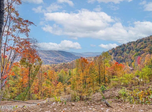 Buffalo Rd, Oneida, TN 37841