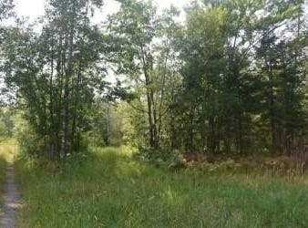 15690 330th Street, McGregor, MN 55760