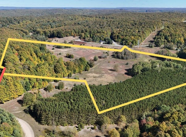 Edelweiss Drive, Bellaire, MI 49615