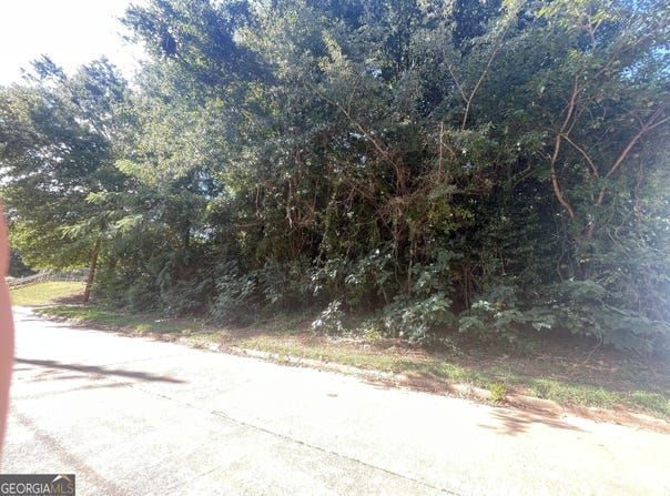45 Pine Street, Griffin, GA 30223