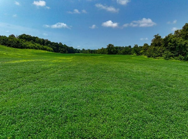 Slaughter Road, Benton, KY 42025