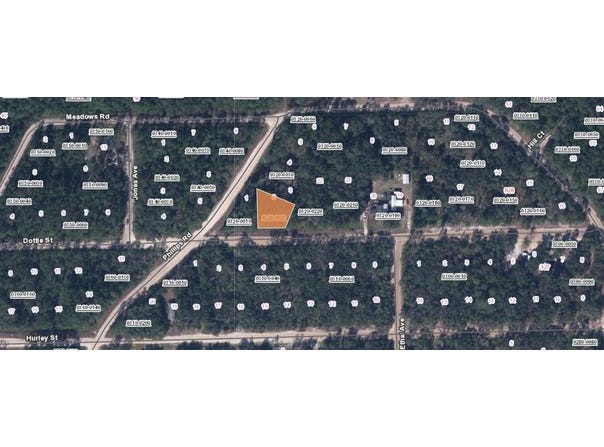 DOTTIE Street, INTERLACHEN, FL 32148