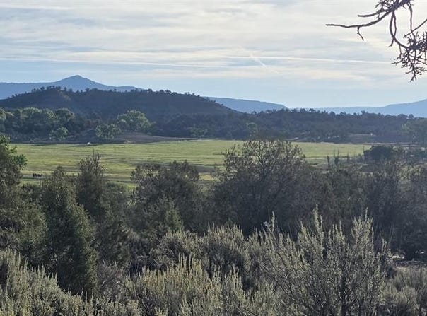 Hwy 151, Ignacio, CO 81137