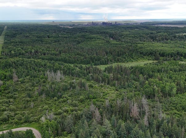 Quaal Road, Forbes, MN 55738