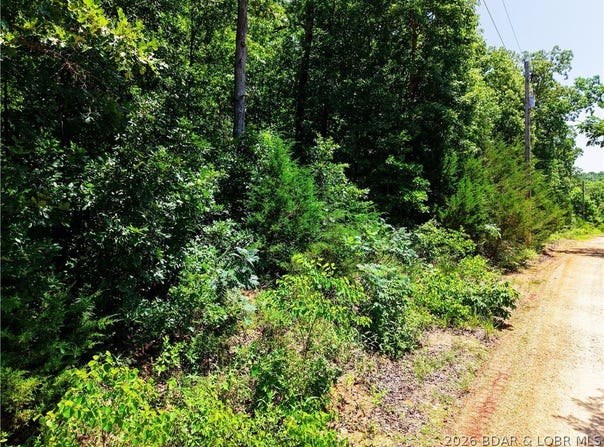 Apache Lane lot: 106, Rocky Mount, MO 65072