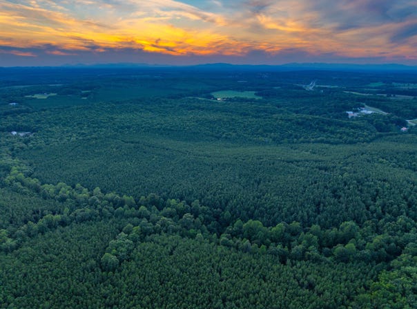 MOUNTAIN CUT RD, APPOMATTOX, VA 24522