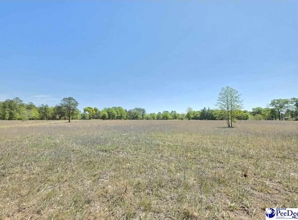 Trent Drive, Dillon, SC 29536