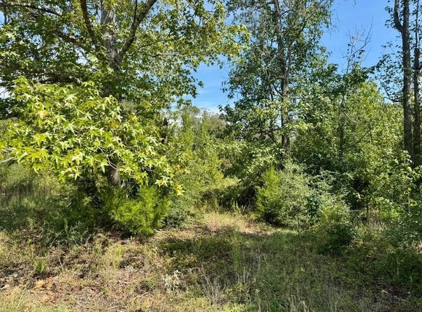 Tract 1 Private Rd 8385, Spurger, TX 77660