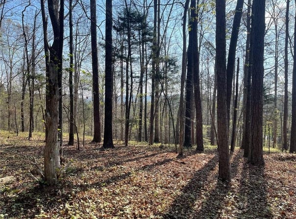 TR 1B Chalcrest Way, Cave Spring, GA 30124