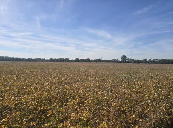 Marshall Road, Coldwater, MI 49036