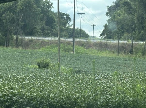 Morrow Road, Fulton, KY 42041