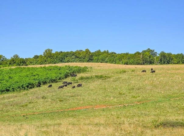 UC001 Botetourt Road, Eagle Rock, VA 24085