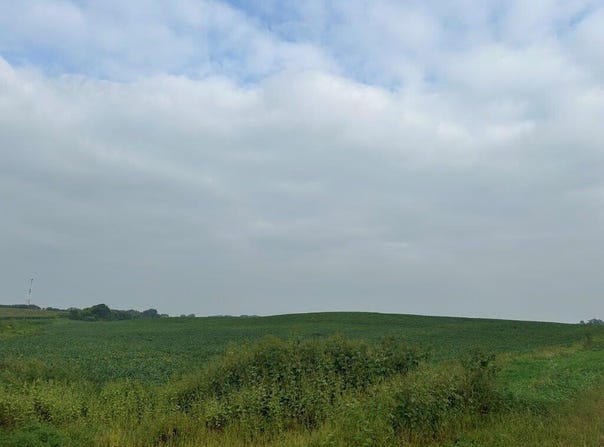 465th St - Parcel 3, Fairfax, MN 55332