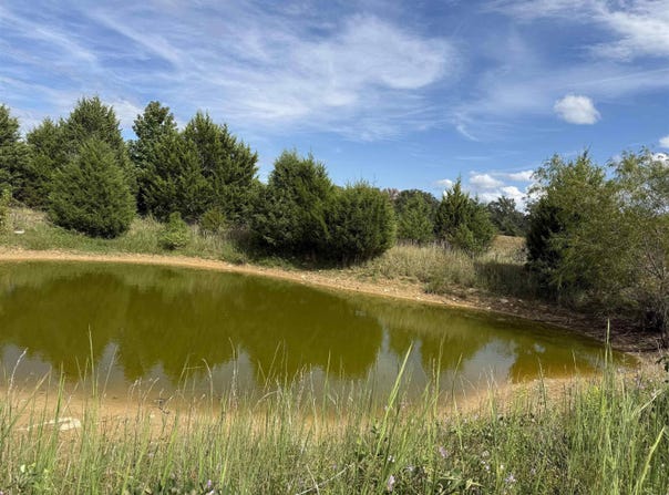 1183 goff Roads, Quitman, AR 72131