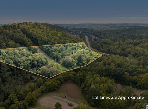 4420 ROSS BRIDGE PARKWAY lot: 1, HOOVER, AL 35226