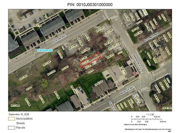 Kirkpatrick St, Hill District, PA 15219