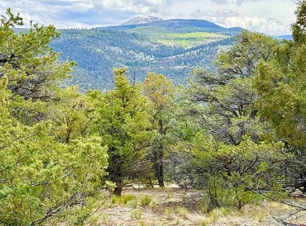 207 Wolf Creek Rd, South Fork, CO 81154