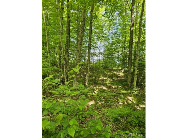 W Herzog Road lot: W Herzog Rd, Iron Mountain, MI 49801