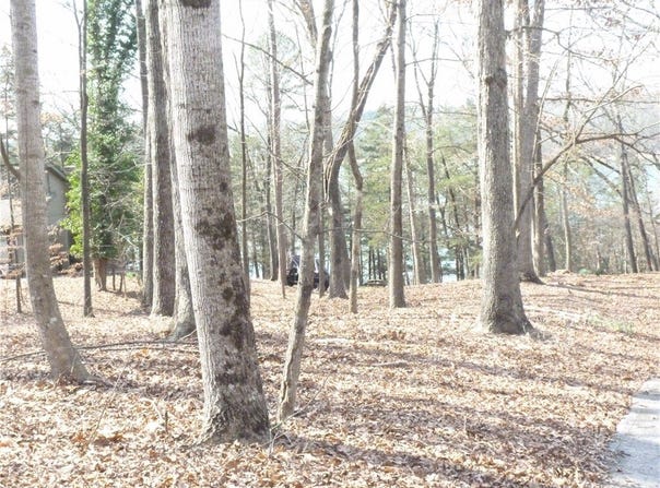 1310 S Arrowhead Drive, Westminster, SC 29693