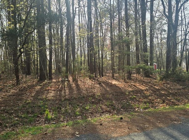 PINE MEADOWS WAY lot: 2, EXMORE, VA 23350