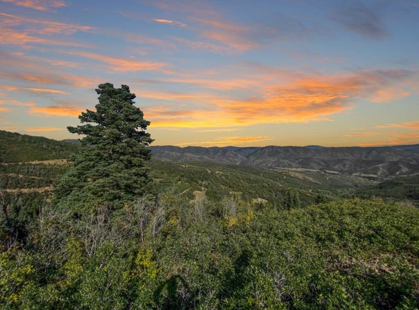 111 UPPER WHITTEMORE Dr, Springville, UT 84663