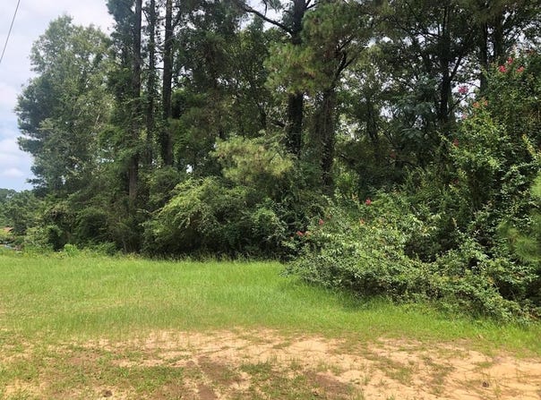 41 Flynt Rd, LAUREL, MS 39440