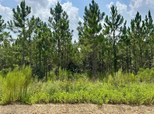 NW 49TH TRAIL, Jasper, FL 32052