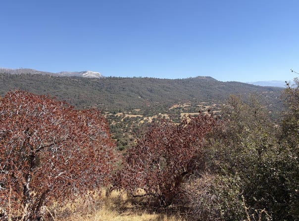 0001 Hogback, Badger, CA 93603