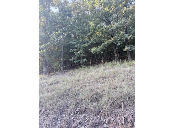 Ridge lot: 14, Mayflower, AR 72106