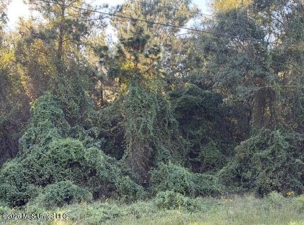 W Wortham Road lot: 19, Saucier, MS 39574