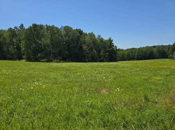 0WP Nabinger Hill Rd, Nineveh, NY 13813