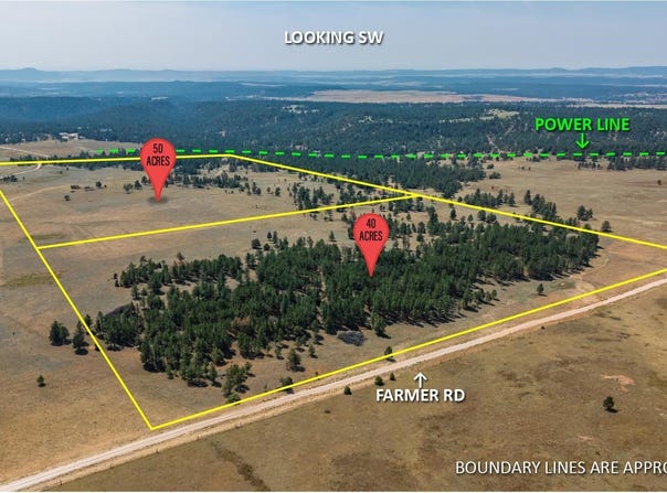 40 acres Farmer Road, Custer, SD 57730