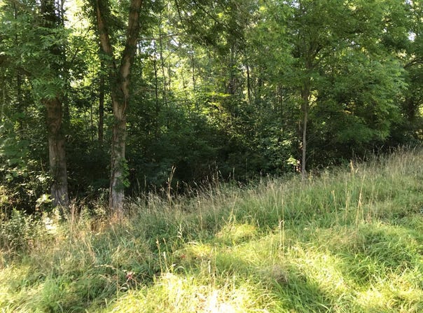 37111 Paw Paw Road, Paw Paw, MI 49079