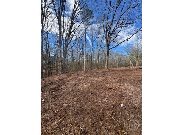 231 Roosevelt Circle, Bowman, GA 30624