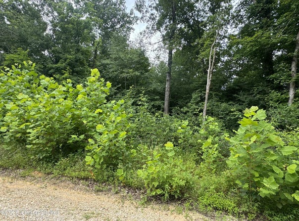 Ted Logsdon Rd, Clarkson, KY 42726