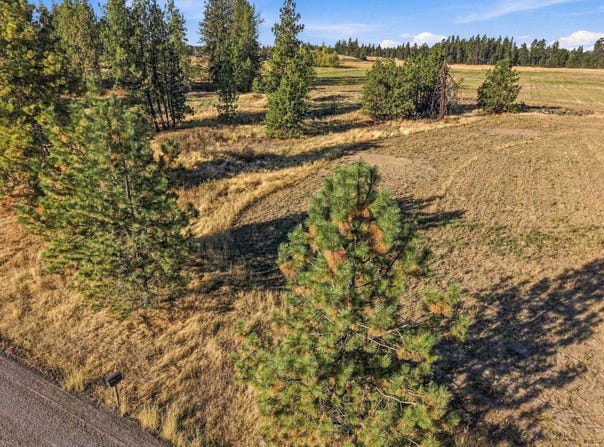 4806 S Abbott Rd, Spokane, WA 99224