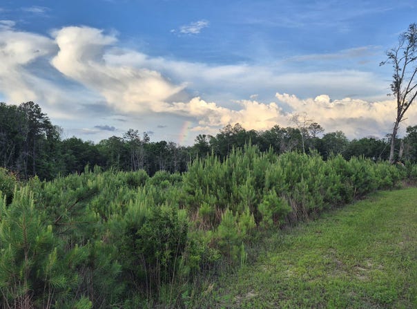 01 Brooklyn Road, Evergreen, AL 36401
