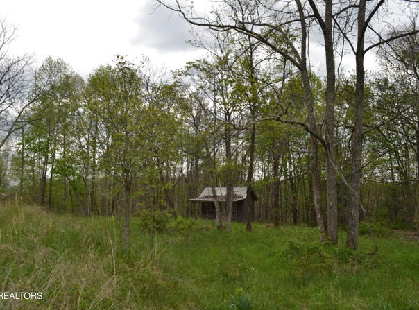 N Of Deer Lodge Hwy, Deer Lodge, TN 37726