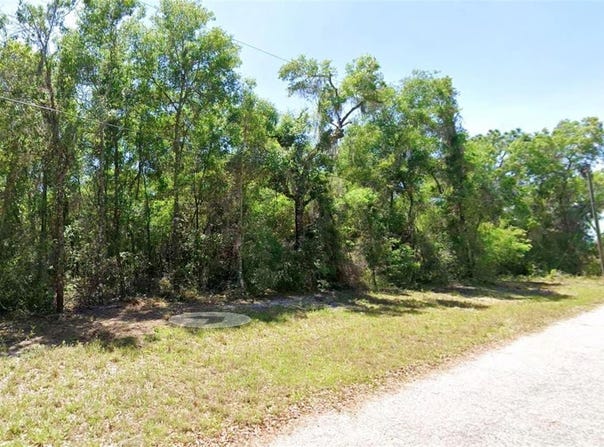 4374 E MATE Lane, HERNANDO, FL 34442