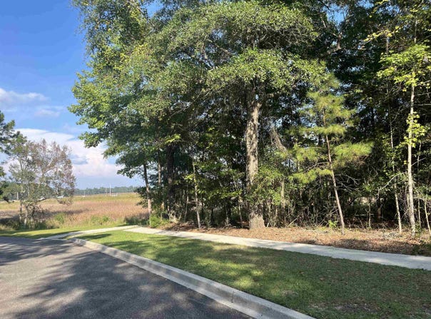Warham Dr., Georgetown, SC 29440
