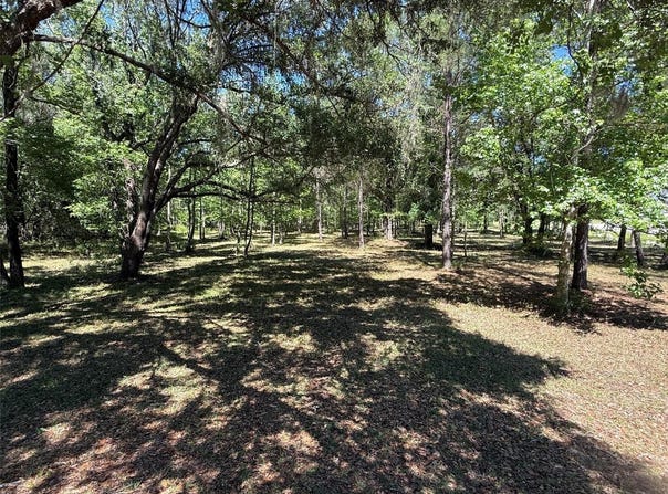 NW 145 Avenue, WILLISTON, FL 32696