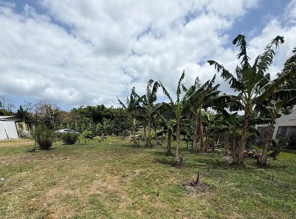 BO. LIMONES, YABUCOA, 00767