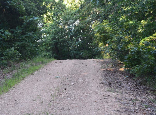 Schnauzer LN, Harriet, AR 72639