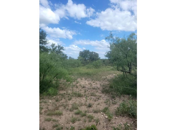 1192 Hillside Rd, Menard, TX 76859