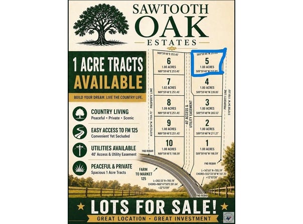20289 -5 FM 125, McLeod, TX 75565