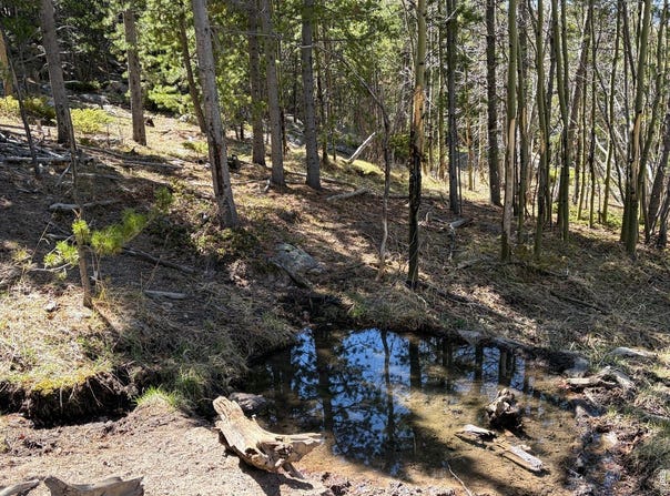 2174 Bear Gulch Rd, Red Feather Lakes, CO 80545