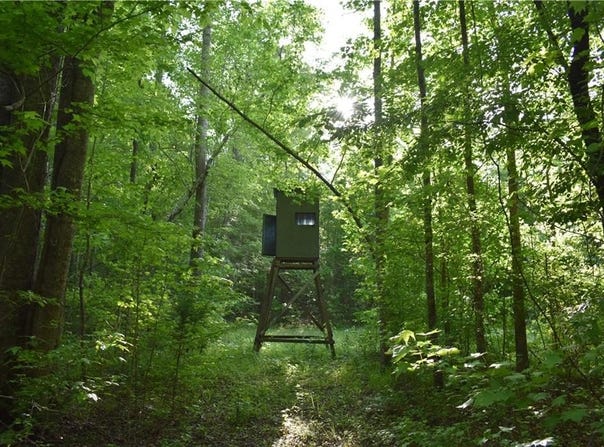 JACKSON Road, CAMP HILL, AL 36850