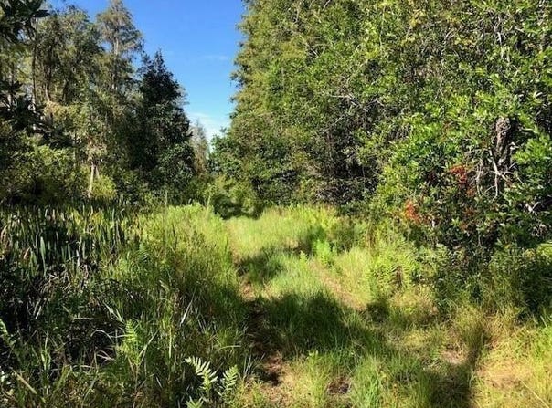 Old Grade Road, FL 33868